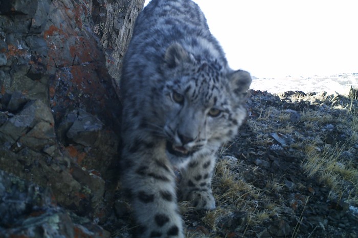 Что произошло в мире науки. Вечерний дайджест
