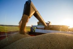 Пошлина на экспорт пшеницы из РФ с 8 мая снизилась на 3,2%, на ячмень и кукурузу стала нулевой