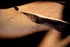 В ЕС могут 30 мая утвердить увеличение пошлин на импорт зерна из РФ и Белоруссии