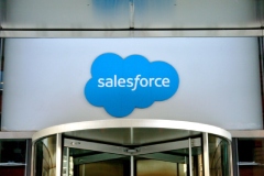-   ,  Salesforce     20 