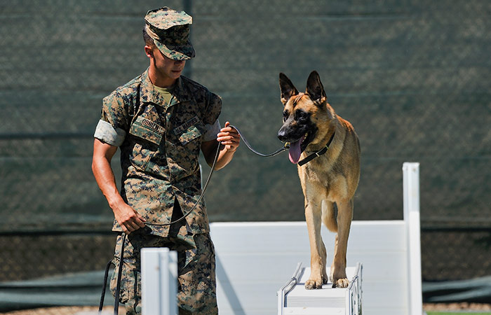 Что произошло в мире науки. Вечерний дайджест