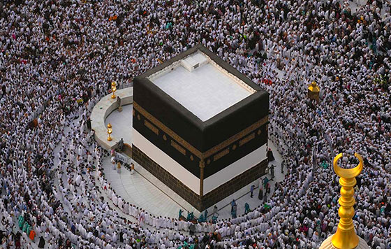 Фотохроника 13 июня