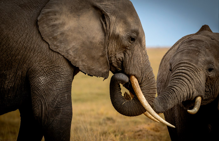 Что произошло в мире науки. Вечерний дайджест