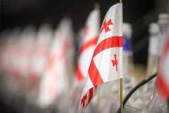 В РФ изучат обращение грузинской партии о полной отмене визового режима