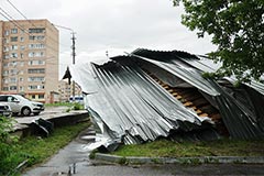 Семь человек пострадали из-за урагана в Подмосковье