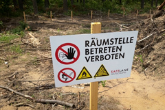 Авиабомба времен Второй мировой войны обнаружена недалеко от завода Tesla в ФРГ