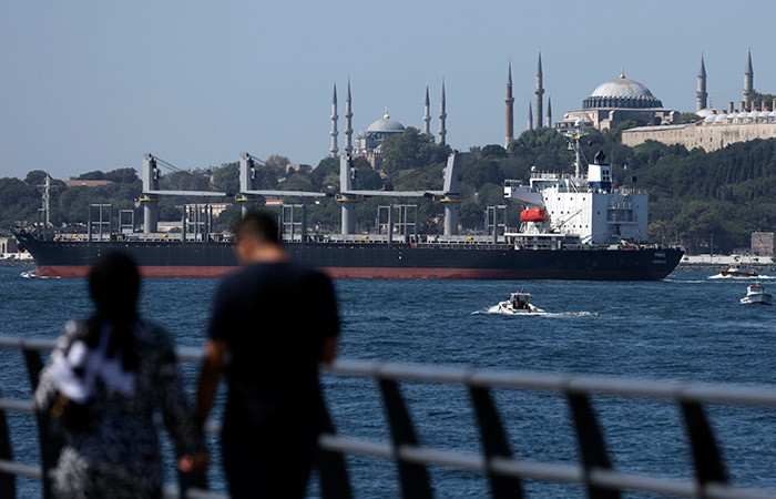 Экспортеры назвали Турцию основным покупателем зерна РФ в прошлом сельхозгоду