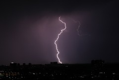 Упавшие из-за урагана деревья повредили 11 машин в Подмосковье