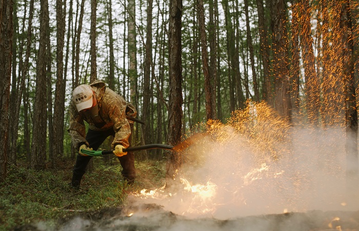 Лес на площади почти 334 тыс. га горит в Якутии