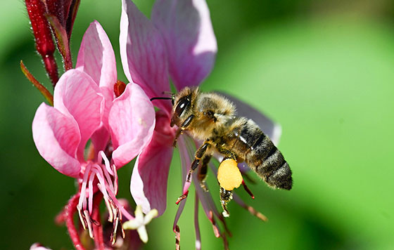 Фотохроника 17 июля