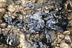 Режим повышенной готовности ввели в Кольском районе после разлива нефтепродуктов