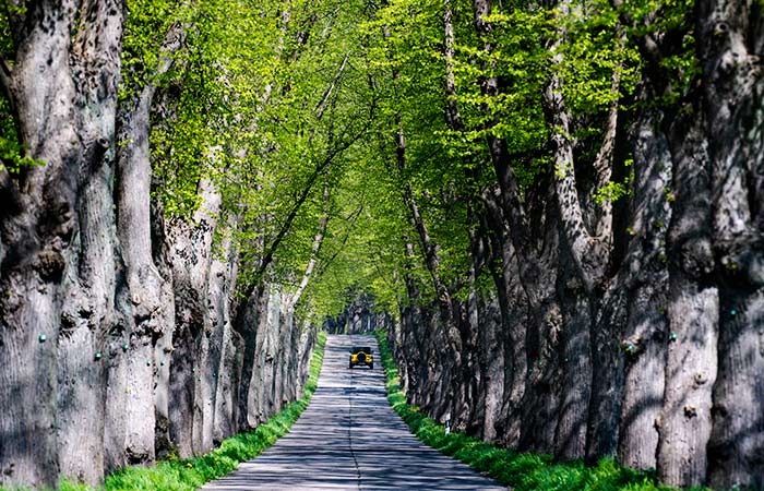 Что произошло в мире науки. Вечерний дайджест