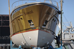 Минпромторг подал иск о приостановке корпправ финского совладельца верфи ОСК в Ленобласти