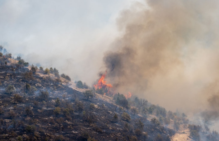 Эрдоган поблагодарил РФ и Азербайджан за самолеты для тушения лесных пожаров