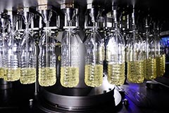 РФ продлила по 31 августа 2026 г. пошлины на экспорт подсолнечного масла, сои и шрота