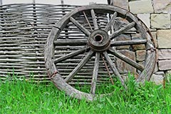 Nokian Tyres планирует использовать резину из бересты в производстве шин