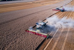 Пошлина на экспорт пшеницы из РФ с 18 сентября повысилась на 5,6%