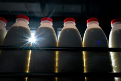 ФАС спросила крупнейших производителей молока об обоснованности их отпускных цен