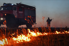 Режим ЧС введен в Ростовской области из-за ландшафтных пожаров