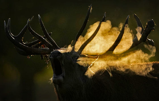 Лучшие фото недели