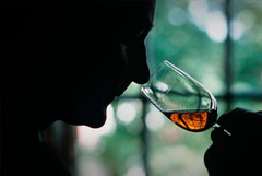 Производителей коньяка во Франции тревожат планы ЕС и КНР взаимно повысить пошлины