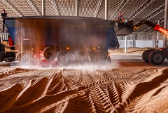 Пошлина на экспорт пшеницы из РФ с 9 октября повысилась на 6,6%