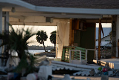 Число погибших в результате урагана "Милтон" в США достигло 15 человек