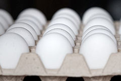 В РФ прогнозируют дальнейший рост производства яиц в ближайшие месяцы