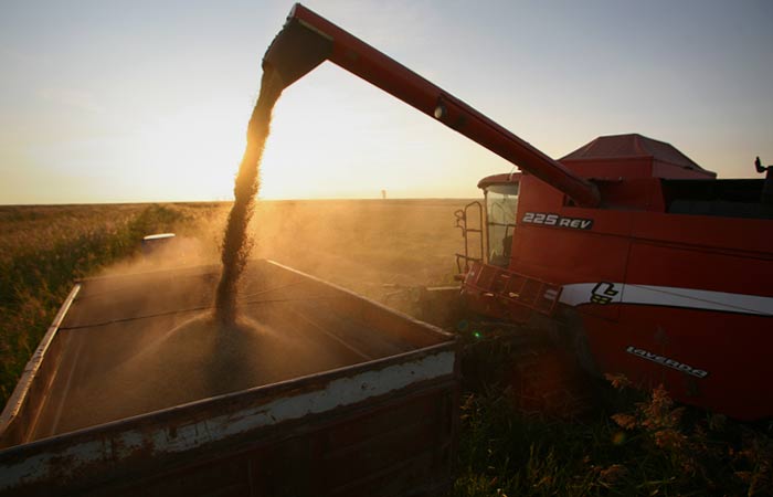 Саудовская Salic через покупку сингапурской Olam Agri получит агроактивы в РФ