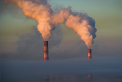 Мишустин заявил, что Россия с 1990 года сократила парниковые выбросы более чем вдвое