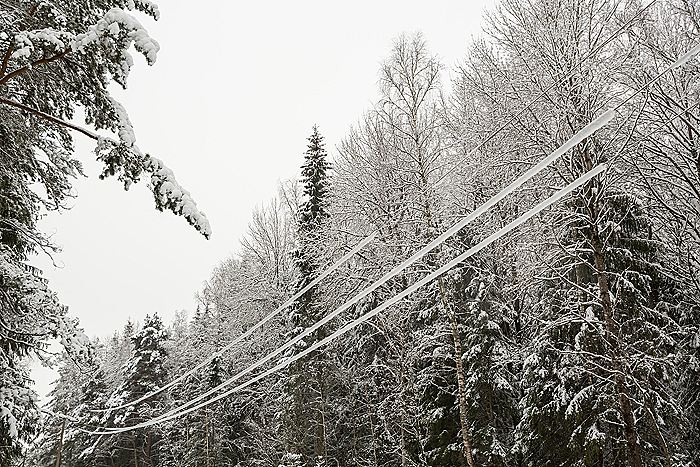 В Тверской области восстановили электроснабжение уже 75 тыс. потребителей