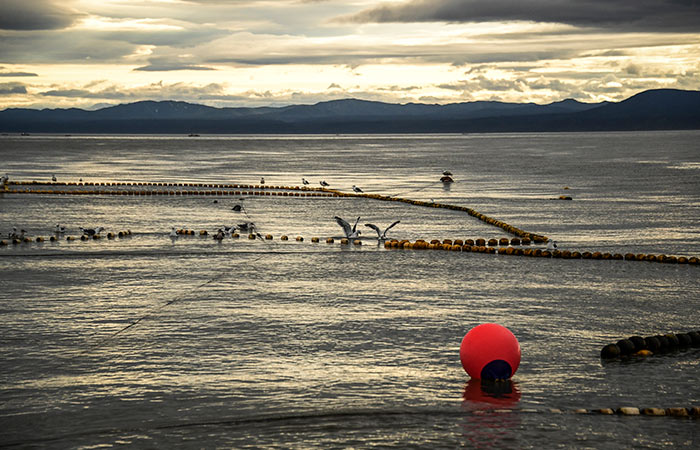 Биржевая торговля рыбой в рамках проекта с Камчаткой не будет ограничена лишь полуостровом