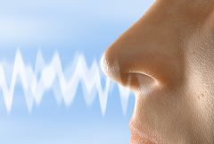 Роспотребнадзор обнаружил в продаже аромаингаляторы с незаконно полученными документами