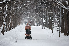 Метель и снежные заносы ожидаются в Москве в понедельник
