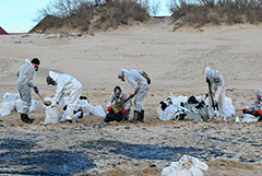 Мишустин поручил правительству помочь в ликвидации разлива мазута в Черном море