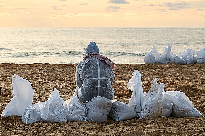Единичные выбросы мазута обнаружены на трех участках в Краснодарском крае
