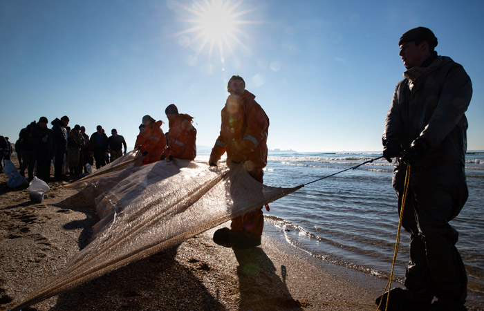 Уже 1,5 км защитных сетей для сбора мазута установили вдоль берега в Анапе
