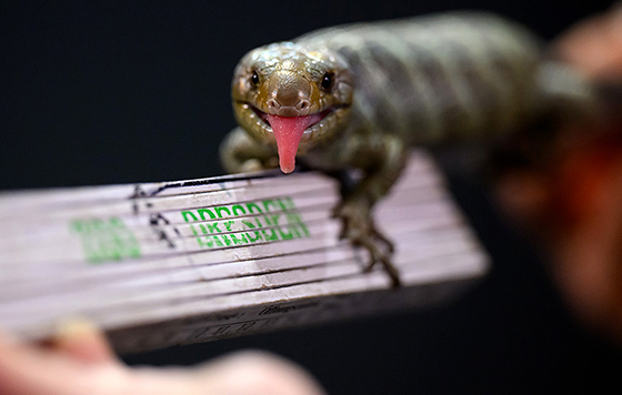 Фотохроника 17 января