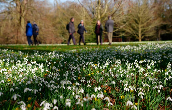 Метеорологи из ЕС назвали январь 2025 года самым теплым за время наблюдений