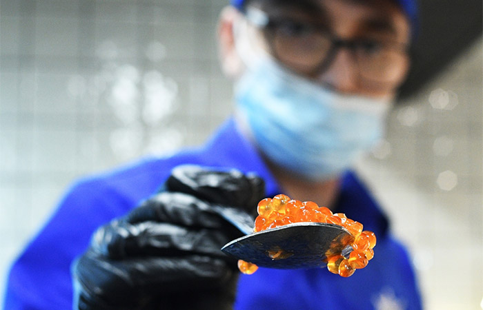 Рыбопромышленники исключают дефицит красной икры на масленицу