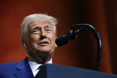 Трамп заявил, что встречи по Украине можно проводить без Зеленского