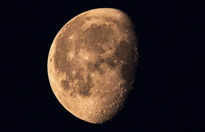 Что произошло в мире науки. Вечерний дайджест