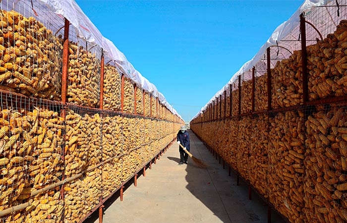 Китай с 10 марта введет импортные пошлины на ряд с/х товаров из США