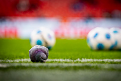 Сборная России по футболу сыграет с Гренадой