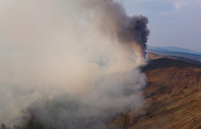 Ущерб от пожаров в Забайкалье и расходы на их ликвидации оценили в 459 млн руб.