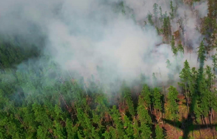 Площадь лесных пожаров в Иркутской области превысила 1 тыс. га
