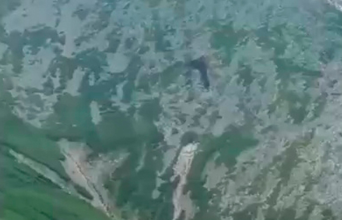 Обнаружены тела пяти погибших в крушении вертолета в Хабаровском крае