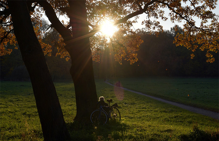 Температура в начале осени почти на всей территории России будет выше нормы