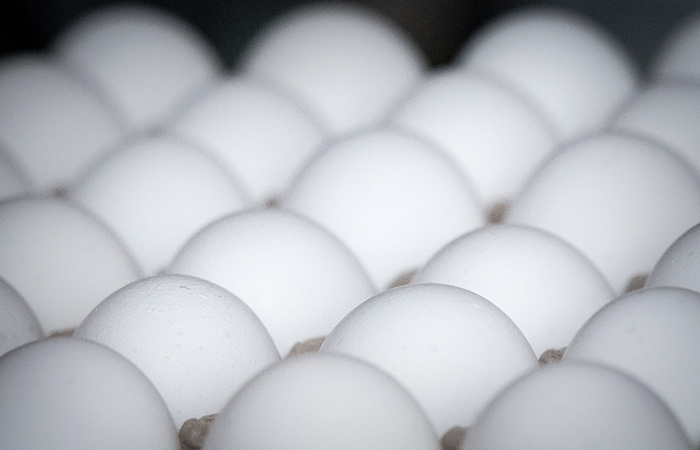 Россия за восемь месяцев увеличила экспорт яиц почти вдвое