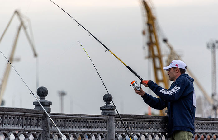 Минсельхоз РФ продлил запрет на вылов воблы в Волге и Каспийском море до 2027 г.